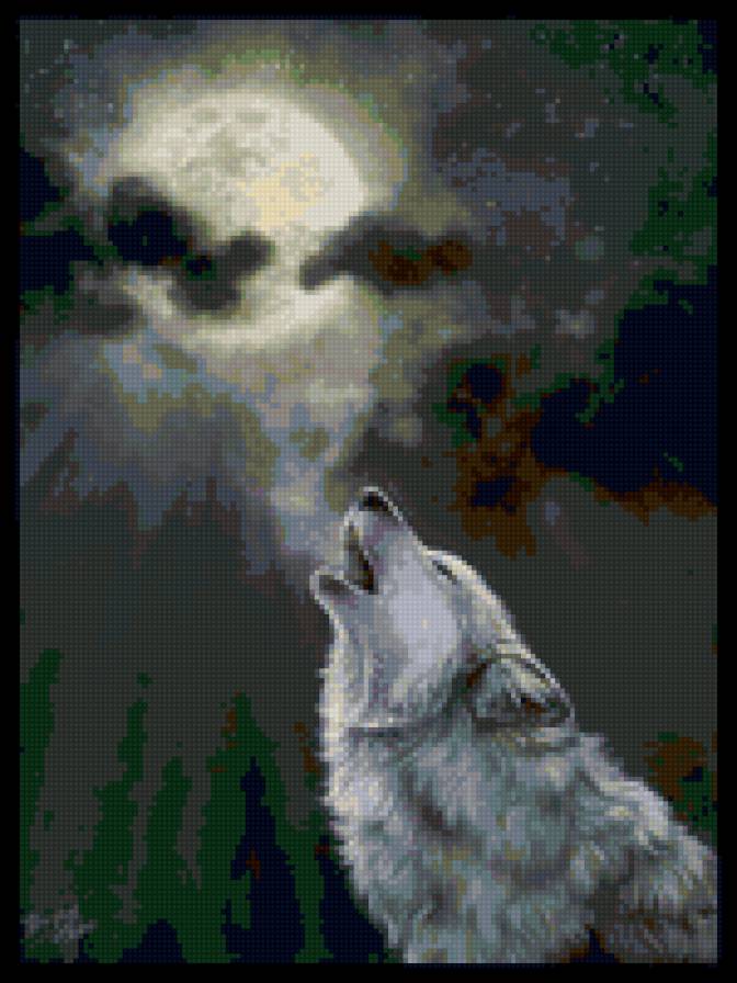 Одинокий волк - животные - предпросмотр