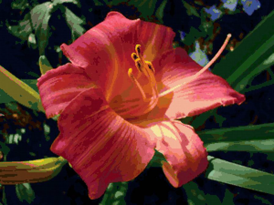 Лилия - цветы, природа, подушка - предпросмотр