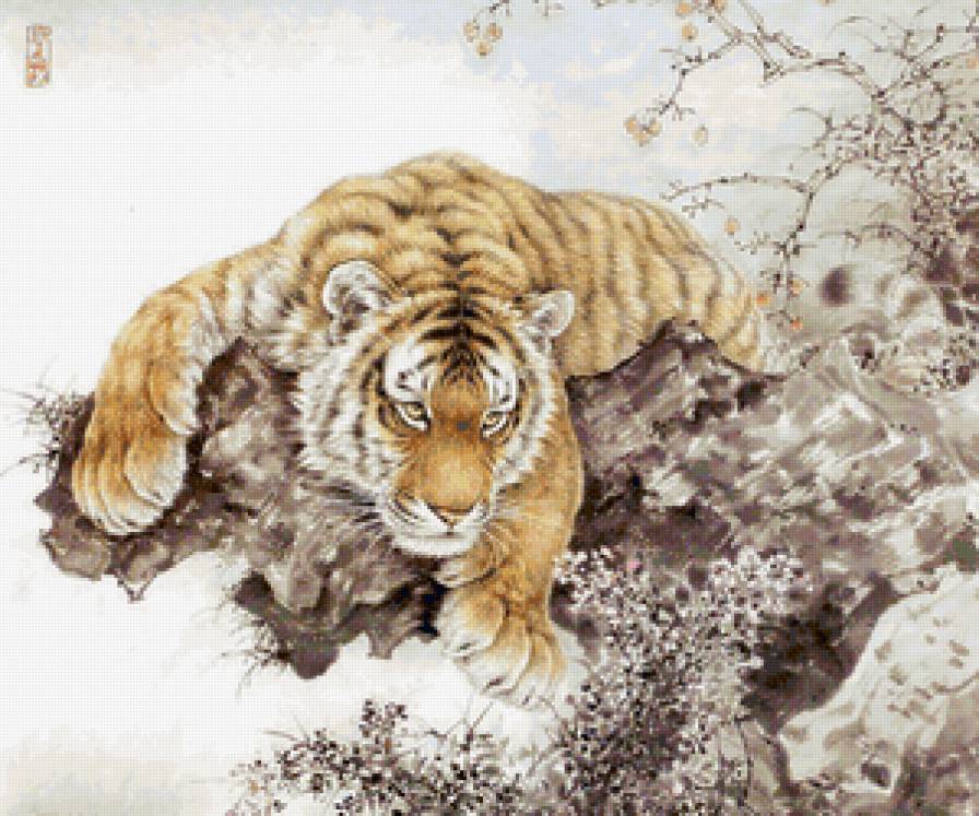 Тигр - животные, тигр, кошки, гохуа, дикие хищные кошки - предпросмотр