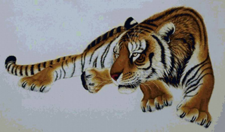 Тигр - животные, гохуа, дикие хищные кошки, кошки, тигр - предпросмотр