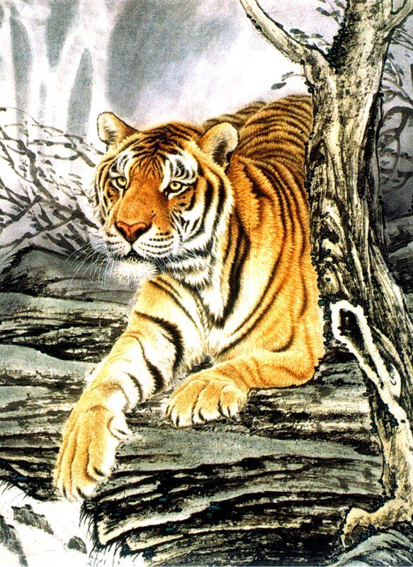 Тигр - кошки, дикие хищные кошки, гохуа, тигр, животные - оригинал