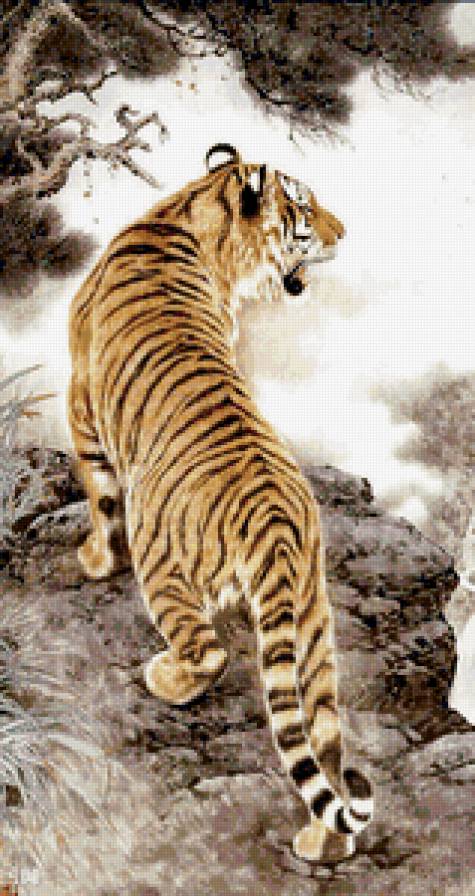 Тигр - животные, кошки, дикие хищные кошки, тигр, гохуа - предпросмотр