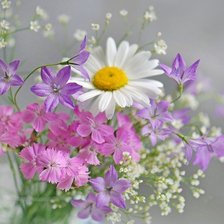 Схема вышивки «Летний букет»