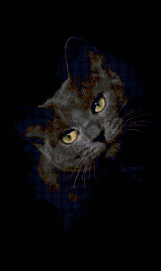 Ночью все кошки серы - животные, кошка, кот - предпросмотр