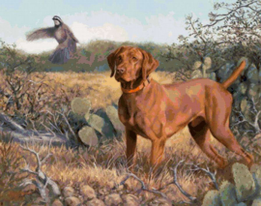 Серия СОБАКИ. Живопись. - животные, собака, охота - предпросмотр