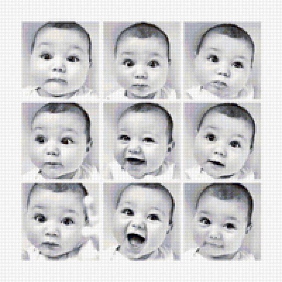 №85135 - предпросмотр