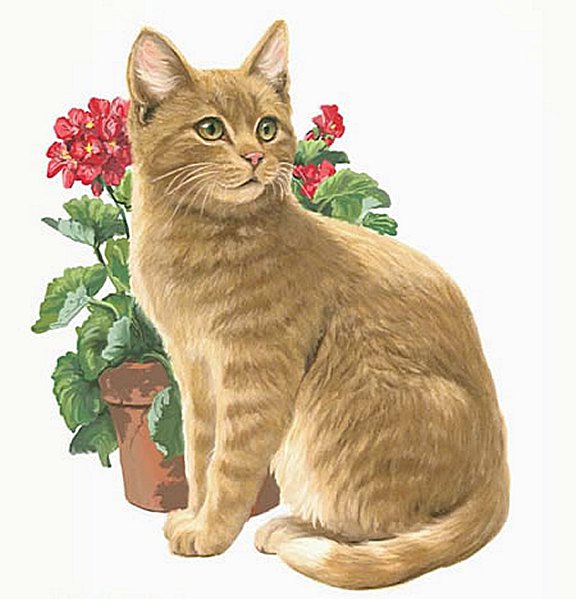 Серия КОШКИ. Живопись. - кошка, цветы, животные - оригинал