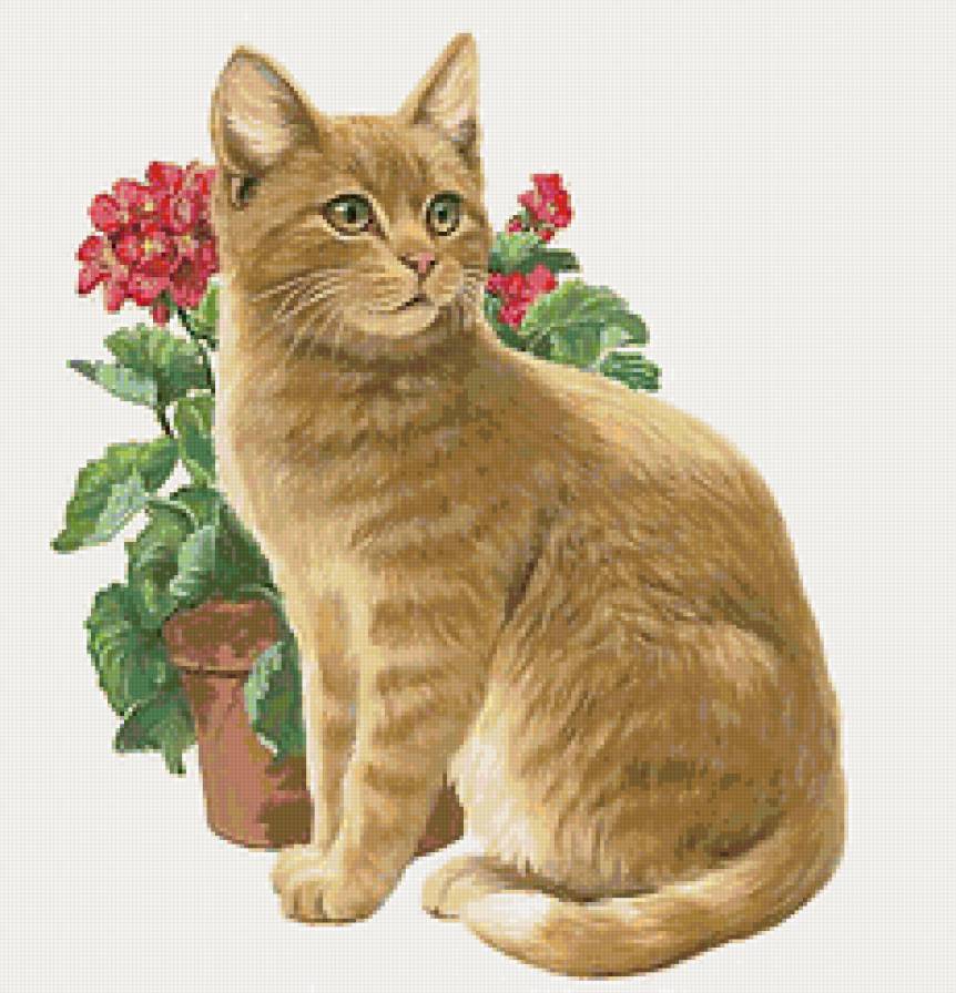 Серия КОШКИ. Живопись. - животные, кошка, цветы - предпросмотр