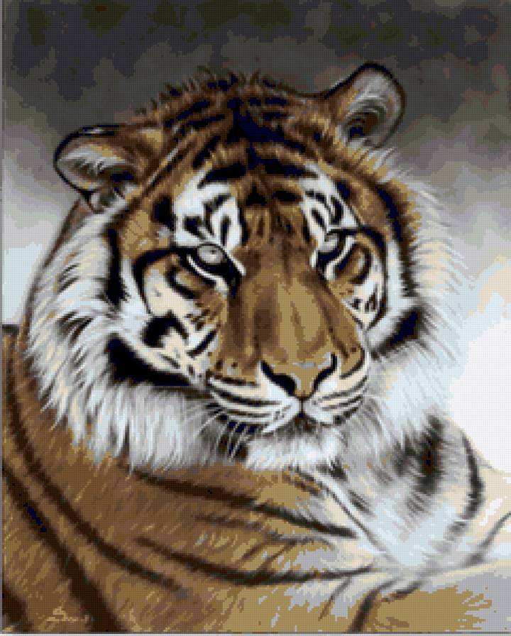 Серия "Большие кошки" - тигры, кошки, животные - предпросмотр