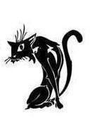 кот - кошки - оригинал