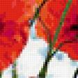 Предпросмотр схемы вышивки «маки» (№85334)