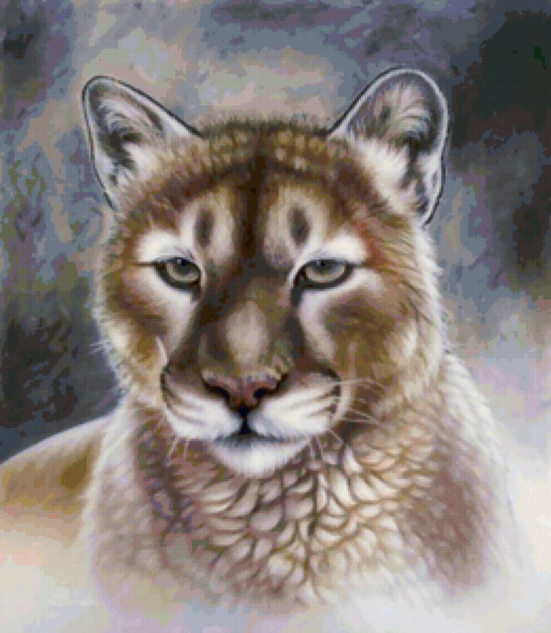 Серия "Большие кошки" - пумы, животные, кошки - предпросмотр