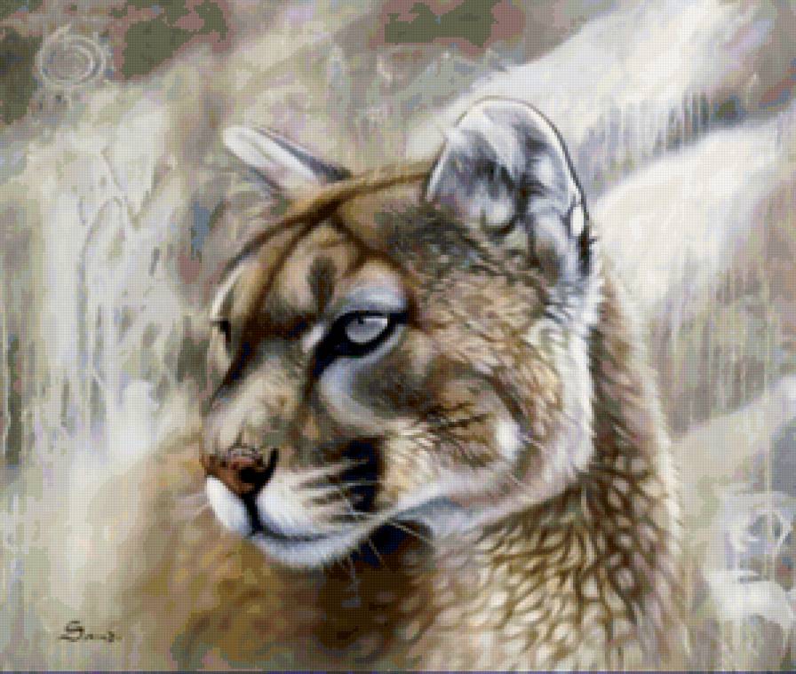 Серия "Большие кошки" - пумы, кошки, животные - предпросмотр