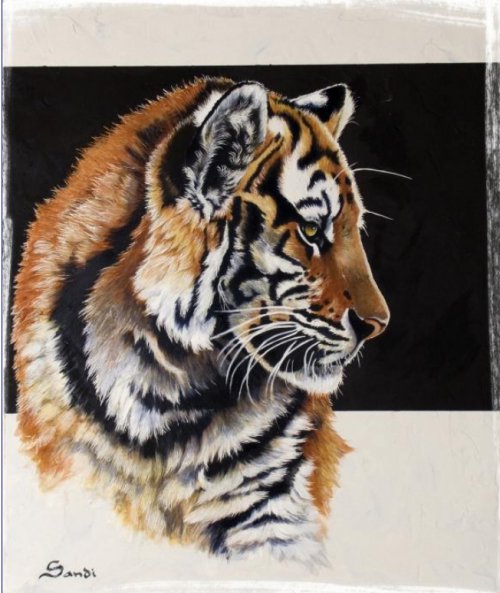 Серия "Большие кошки" - животные, тигры, кошки - оригинал