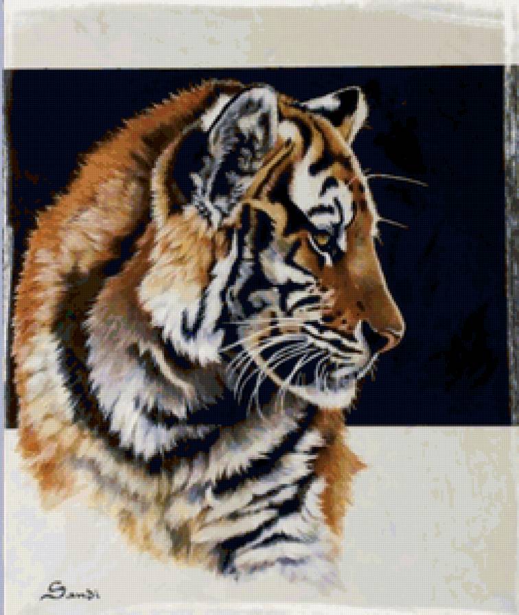 Серия "Большие кошки" - кошки, животные, тигры - предпросмотр