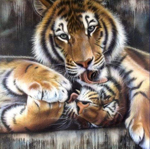 Серия "Большие кошки" - тигры, животные, кошки - оригинал