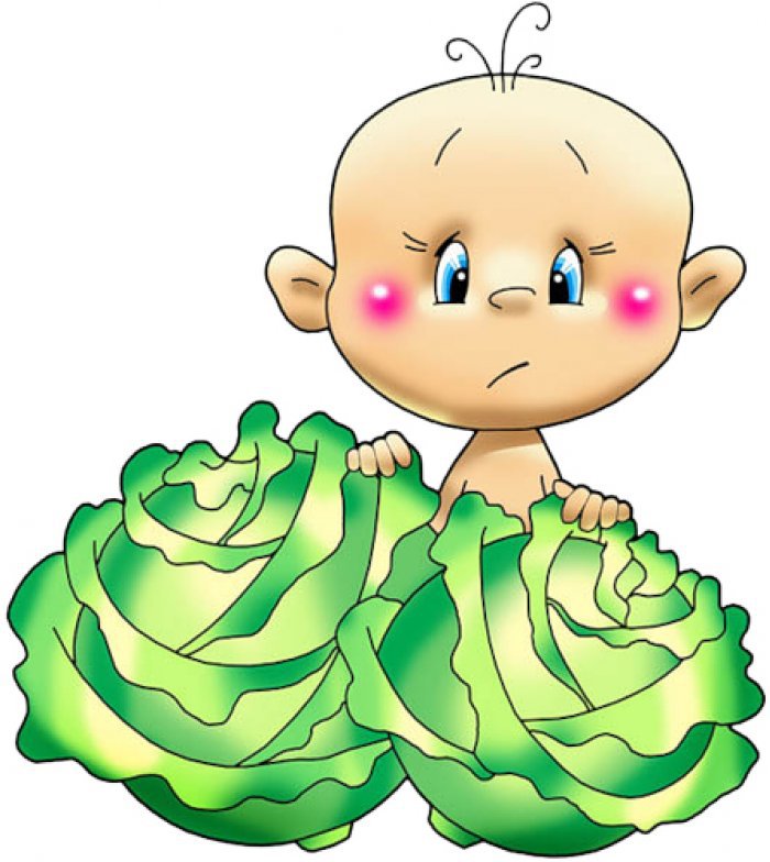 малыш в капусте - оригинал
