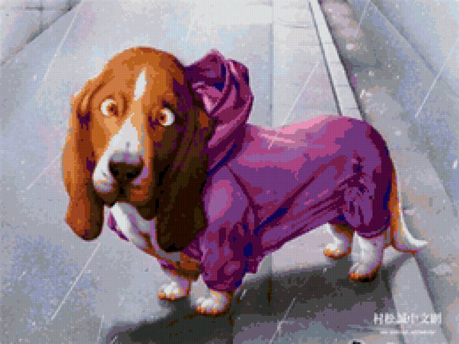 пусик - животные - предпросмотр