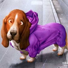 Схема вышивки «пусик»