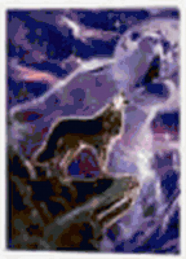 Волк - ночь, волк, волки, животные - предпросмотр