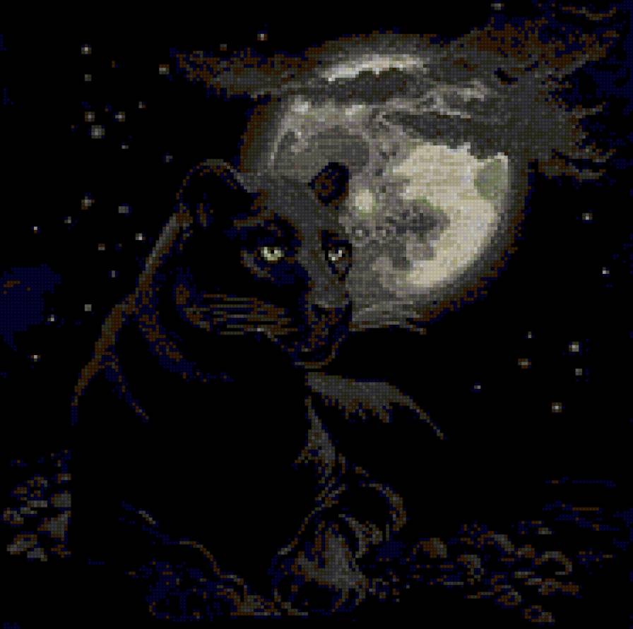 Ночная крвсавица - животные, кошки - предпросмотр
