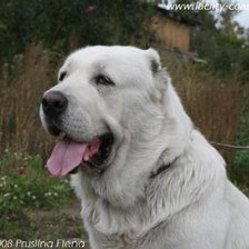 Схема вышивки «друг»