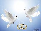 свадебная - свадьба, голуби, свадебная, кольца, метрика - оригинал