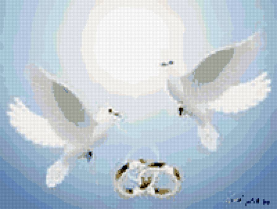 свадебная - свадьба, голуби, свадебная, кольца, метрика - предпросмотр