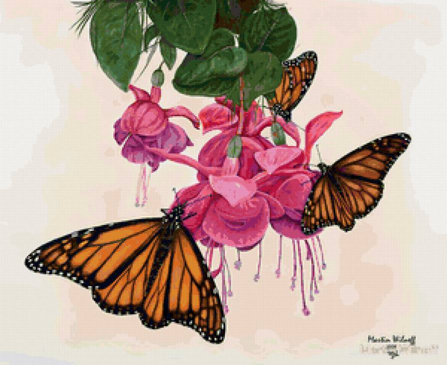 бабочки на цветах - цветы бабочки - предпросмотр