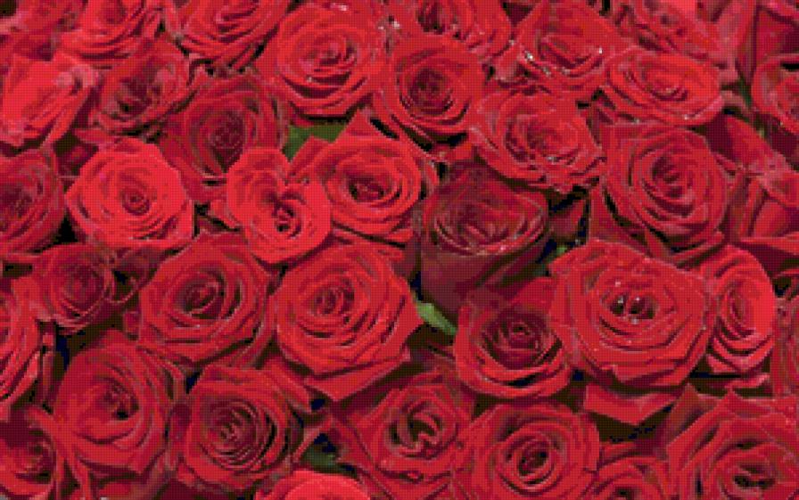 №86337 - цветы - предпросмотр