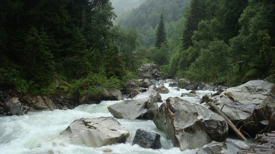 №86379 - природа - оригинал