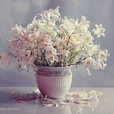 Схема вышивки «№86472»