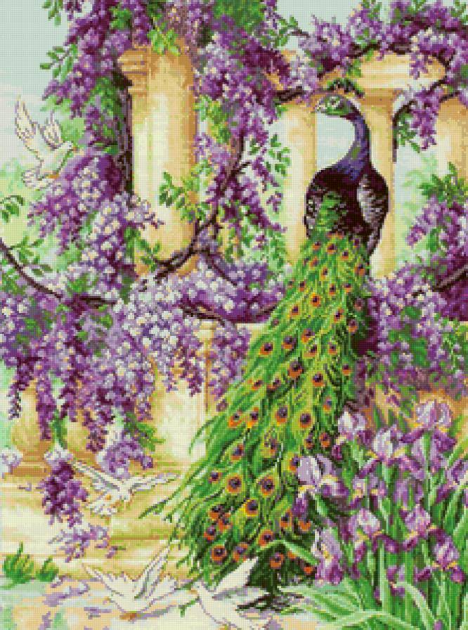 райский сад павлин и голуби - предпросмотр