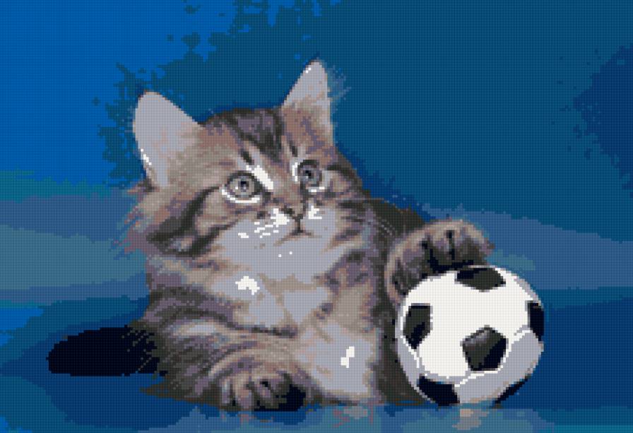 котик - предпросмотр