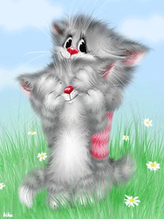 коты - коты - оригинал