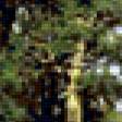 Предпросмотр схемы вышивки «Дубрава» (№87161)