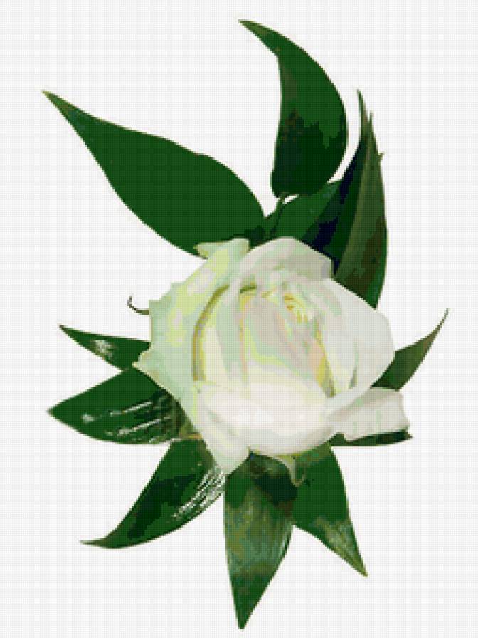 Роза - подушка, цветы - предпросмотр