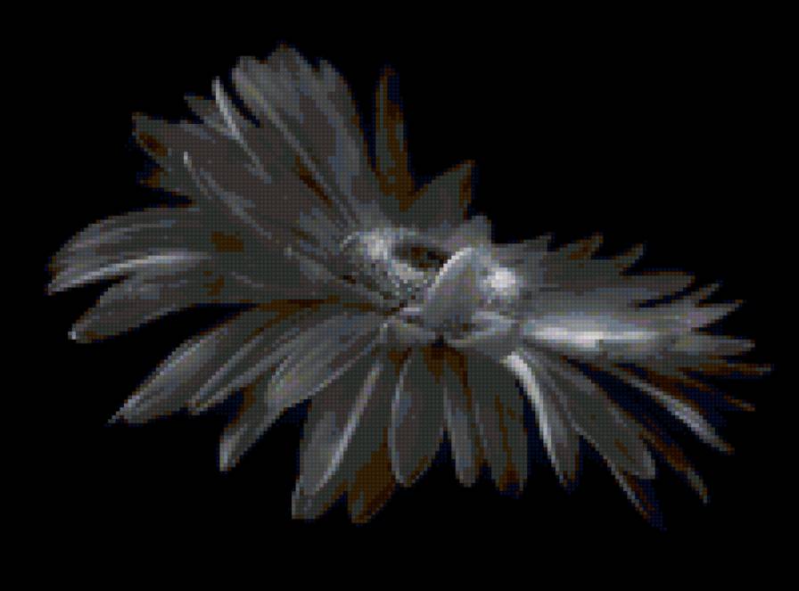 гербера - цветок, гербера, растение - предпросмотр