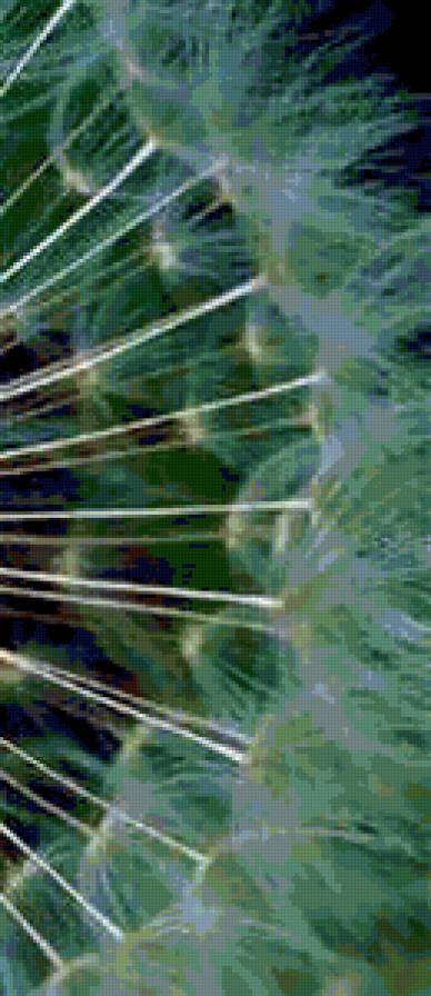 Одуванчик. правая часть - одуванчик, бутон, триптих, цветы - предпросмотр