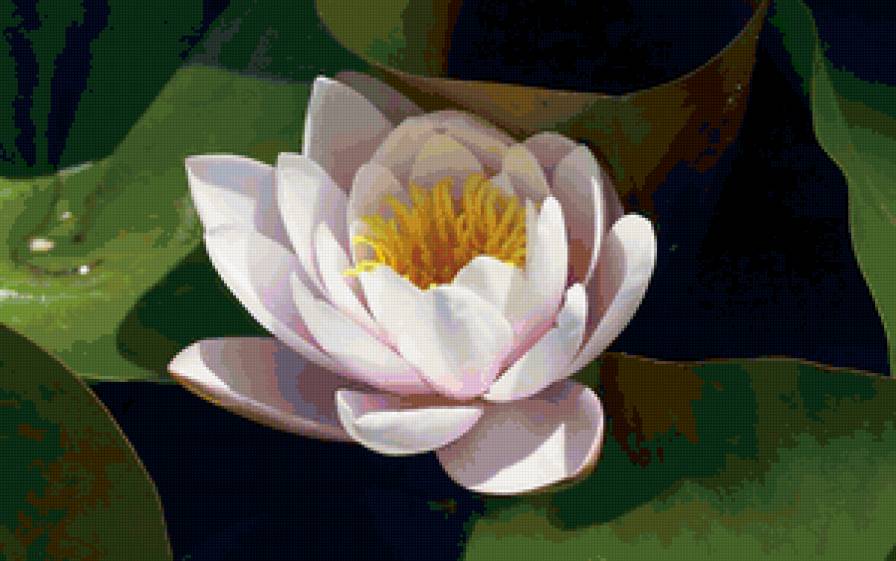 №87577 - цветы - предпросмотр