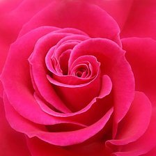 Схема вышивки «№87818»