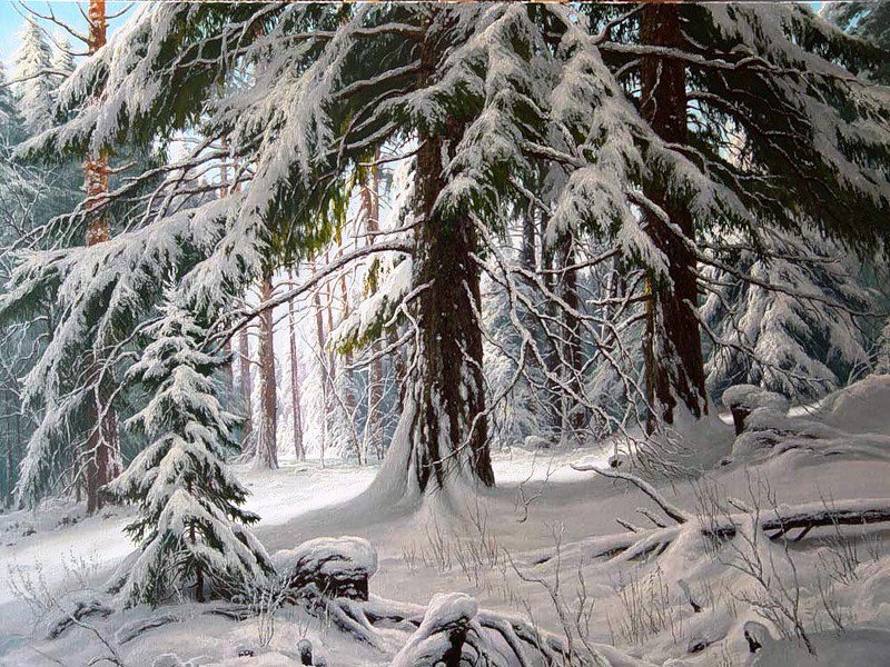Снежное царство - зима, сугробы, пейзаж, снег, лес, природа, зимняя картина - оригинал