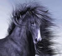 Схема вышивки «вороной»