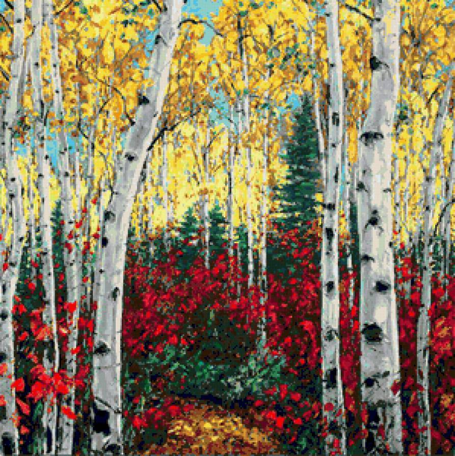 Осень в осиннике - лес, листва, деревья, природа, осины, пейзаж, осень - предпросмотр