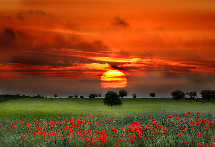 №87934 - оригинал