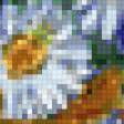 Предпросмотр схемы вышивки «ромашки» (№87944)
