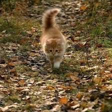 Схема вышивки «№87975»