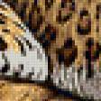 Предпросмотр схемы вышивки «Леопард» (№88008)
