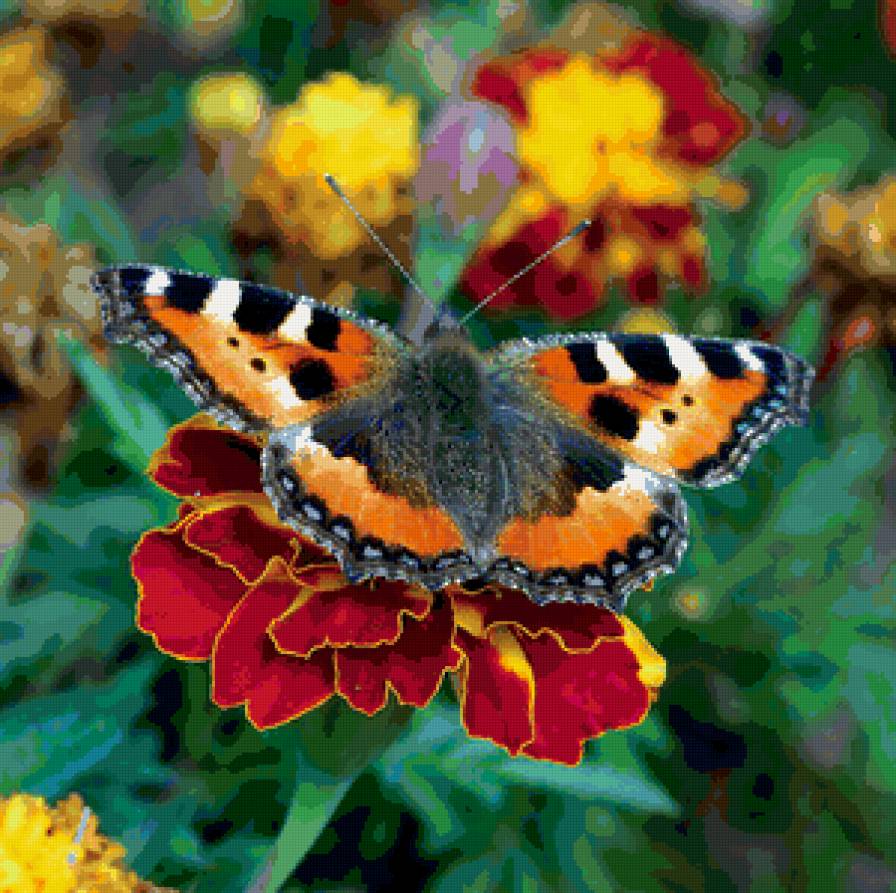 №88016 - предпросмотр