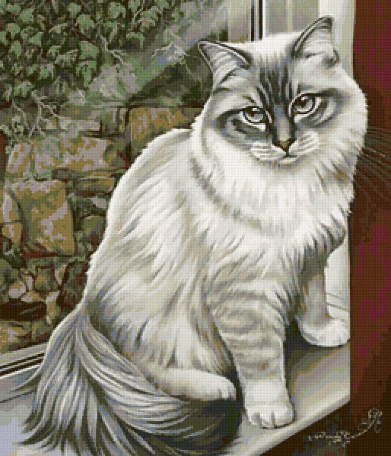 Кошечка - кошки, животные - предпросмотр